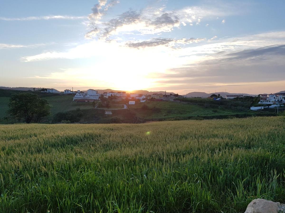 Vila Casa Da Caroleira Pacos  Exteriér fotografie