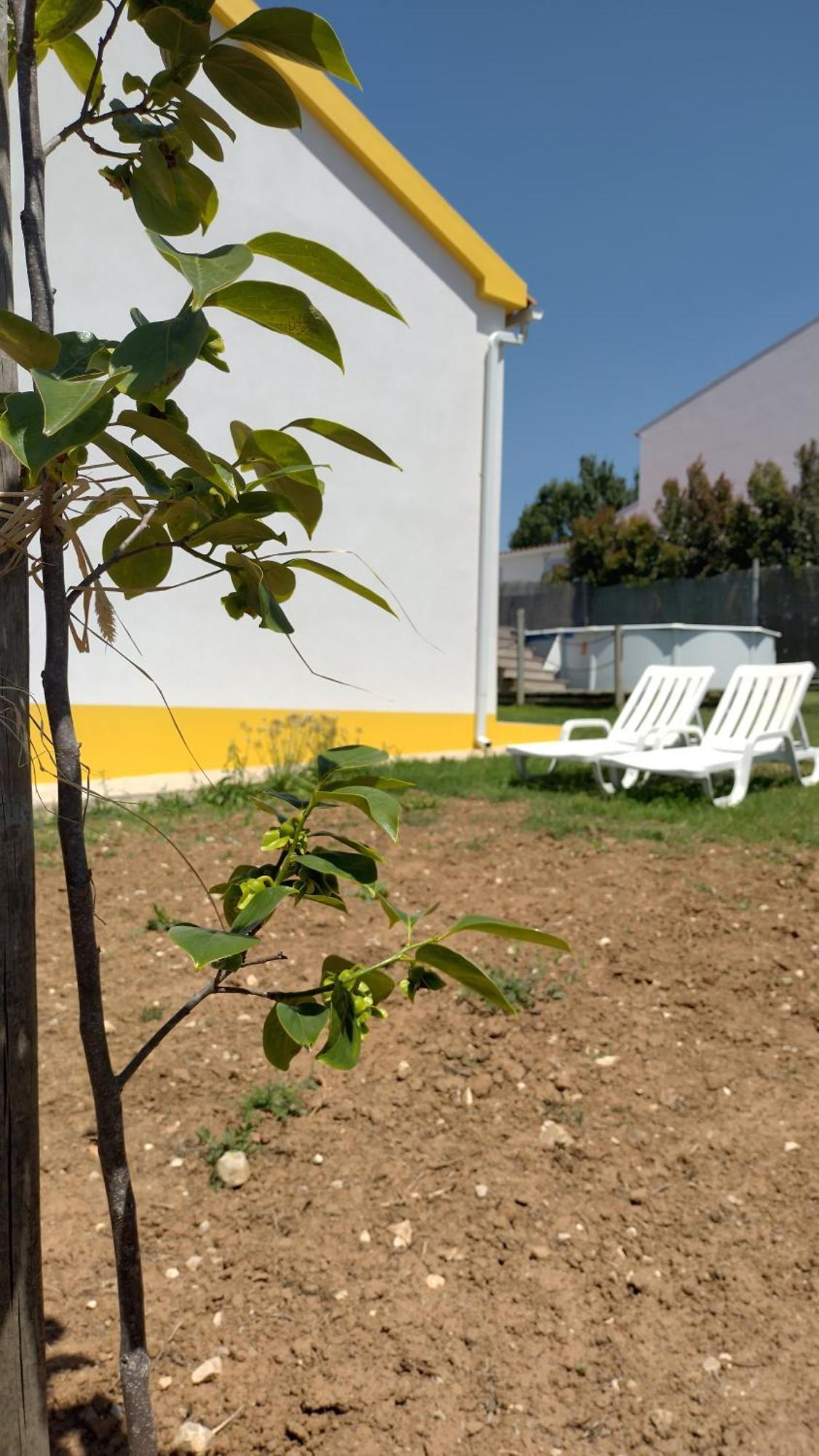 Vila Casa Da Caroleira Pacos  Exteriér fotografie